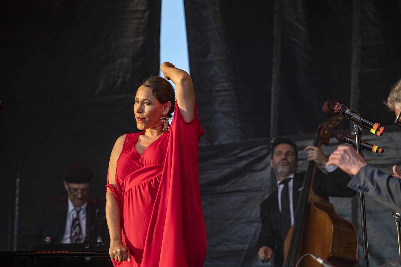 Pink Martini ©Franck Perrogon_125